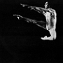 1981
